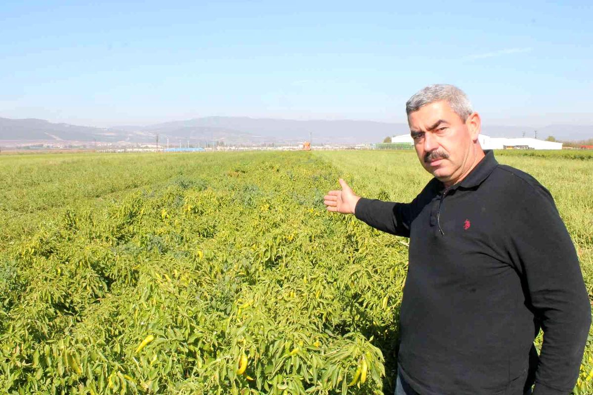 Türkiye'de ilk kez Bursa'da denendi, bu sayede işçi maliyetleri yüzde 90 düştü