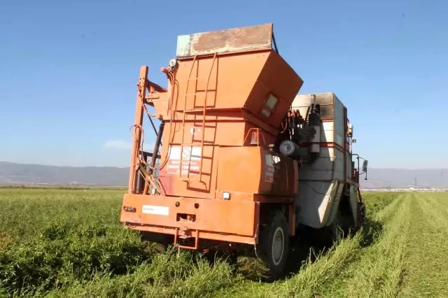 Türkiye'de ilk kez Bursa'da denendi, bu sayede işçi maliyetleri yüzde 90 düştü