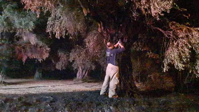 Geceleri ortaya çıkıyor, bir haftada 6 köyü yaktı! Köylüler peşine düştü