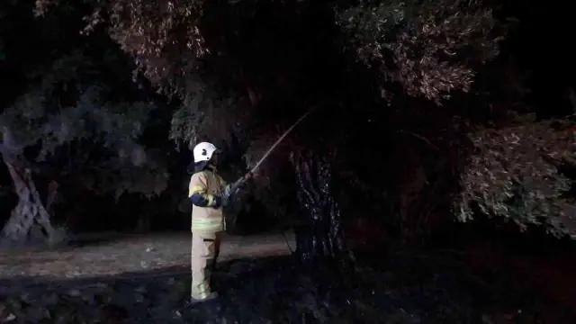 Geceleri ortaya çıkıyor, bir haftada 6 köyü yaktı! Köylüler peşine düştü