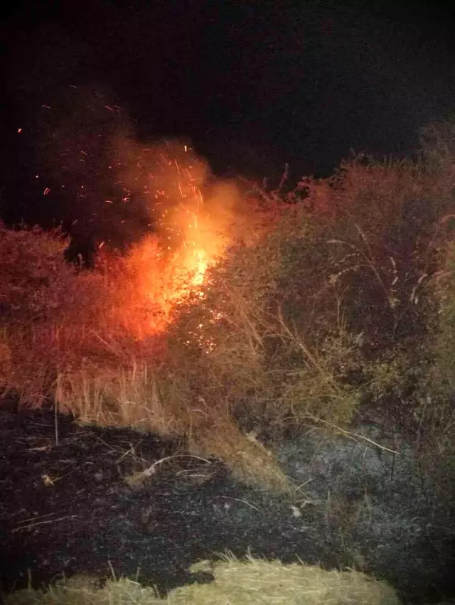 Geceleri ortaya çıkıyor, bir haftada 6 köyü yaktı! Köylüler peşine düştü