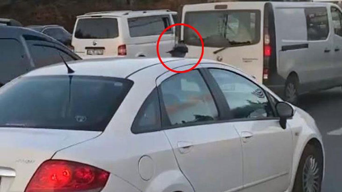 Araç üzerinde yolculuk eden karga! Trafikte bu ana tanıklık edenler telefonlarına sarıldı