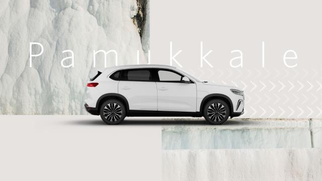 Bakan Nebati, 2. Togg'a talip