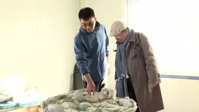 Herkesin konuştuğu keşif! Bir ayda 20 dinozor fosili çıkarıldı