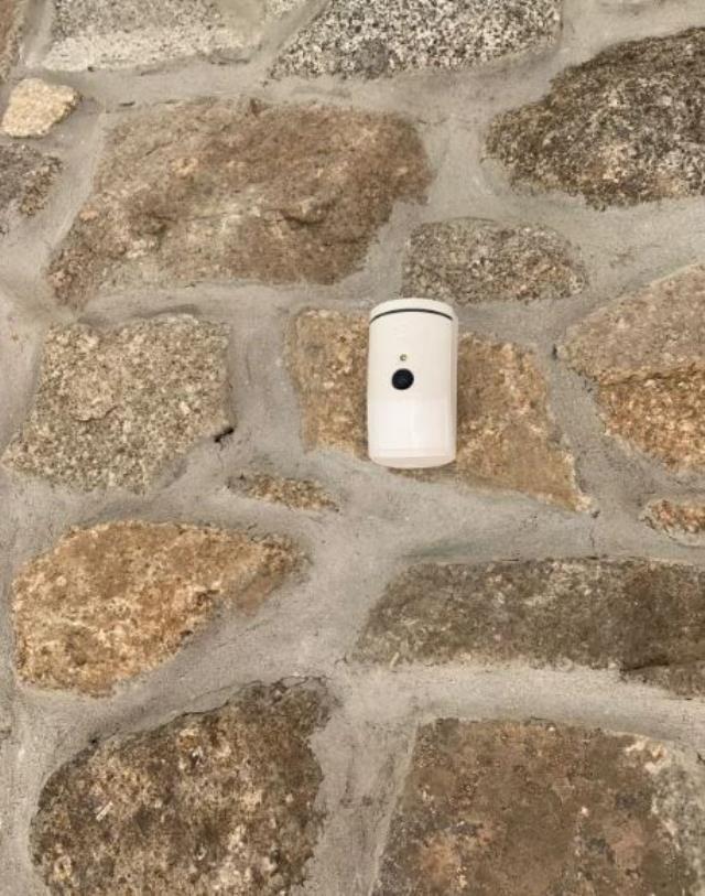 Koltukta cinsel ilişkiye giren çift, evde fark ettikleri detayla dehşete düştü! Herkesi uyardılar