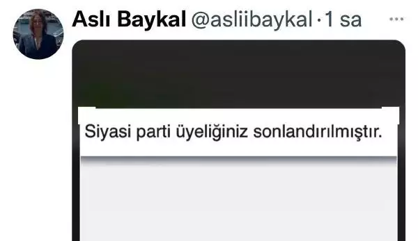 Aslı Baykal, CHP'den istifa etti