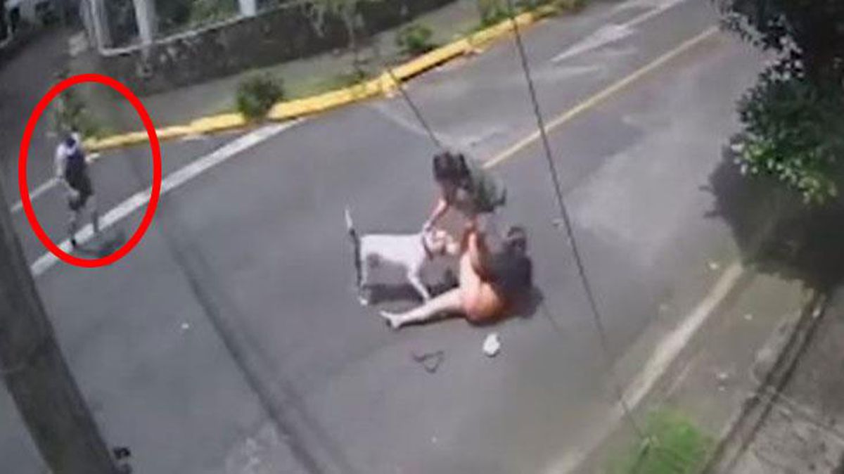 Kahraman aşçı, kadını azgın pitbullun ağzından böyle aldı! Herkesin öğrenmesi gerek