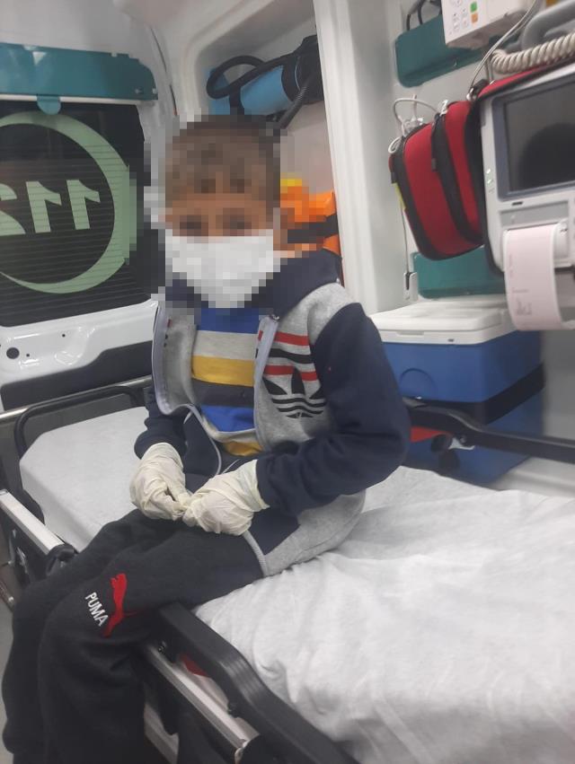 Başıboş köpeklerin ısırdığı çocuklar kuduz oldu! Alınan önlem yürekleri sızlattı