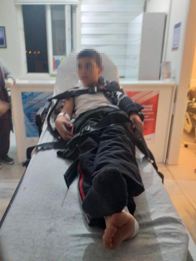Bitlis'i ayağa kaldıran olay! Sokak köpeklerinin ısırdığı 2 çocuk kuduz oldu! Birinin durumu ciddi
