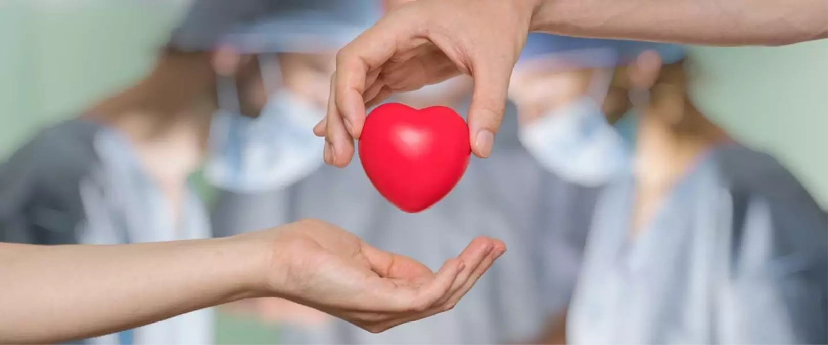Organ Bağışı ve Nakli Haftası ne zaman?