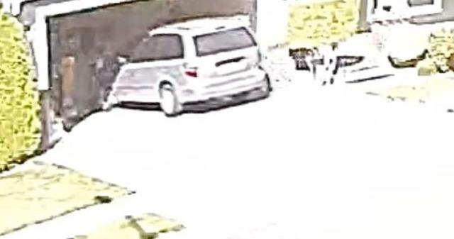 Boşandığı kocası tarafından diri diri gömülen kadın mezardan çıkmayı başardı