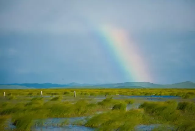Çin Dünyanın En Fazla Uluslararası Sulak Alan Kentlerine Sahip Ülkesi Oldu