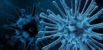 Üçlü salgın nedir? RSV virüsü nedir?
