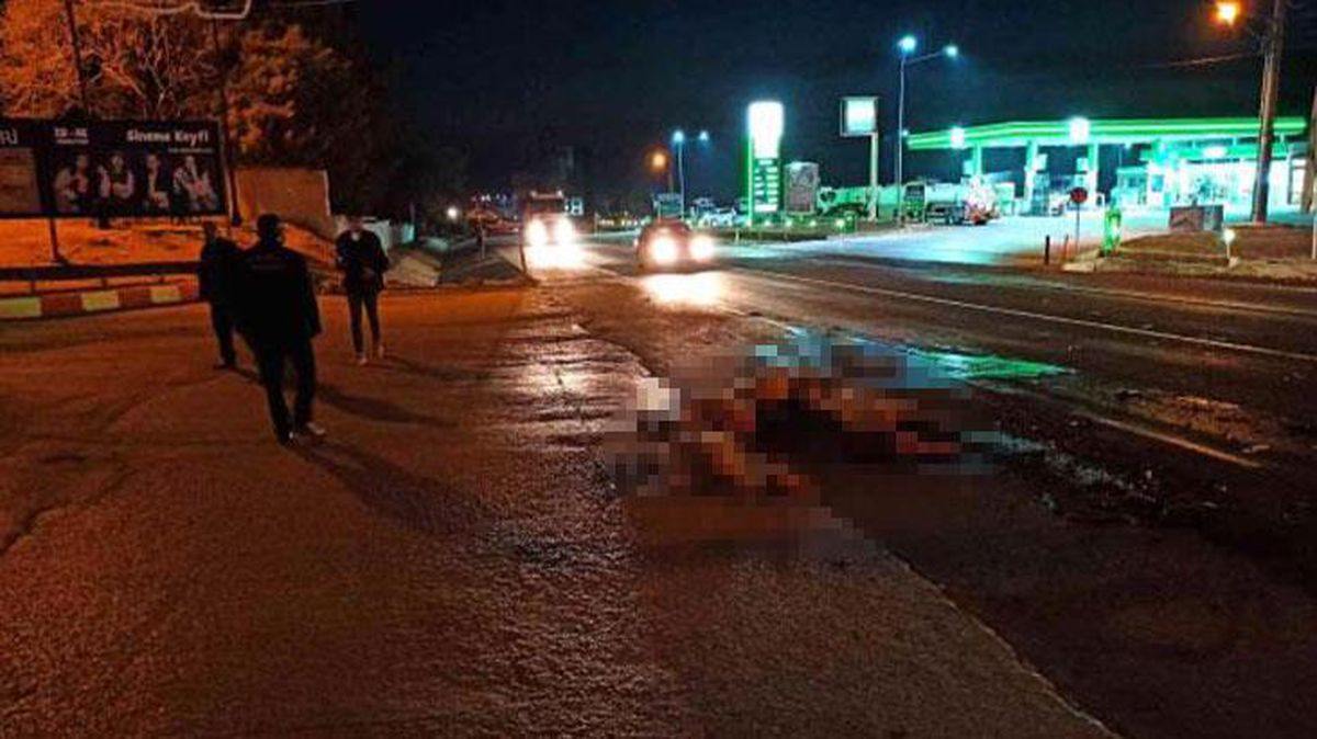 Koyun sürüsüne çarpan otomobil dehşeti yaşattı! 9 kuzu telef oldu