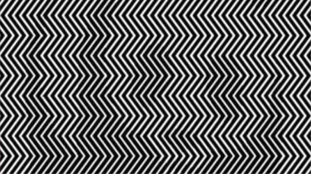 Fotoğraftaki gizli resmi görüyor musunuz? Görenlerin IQ seviyesi çok ama çok yüksek