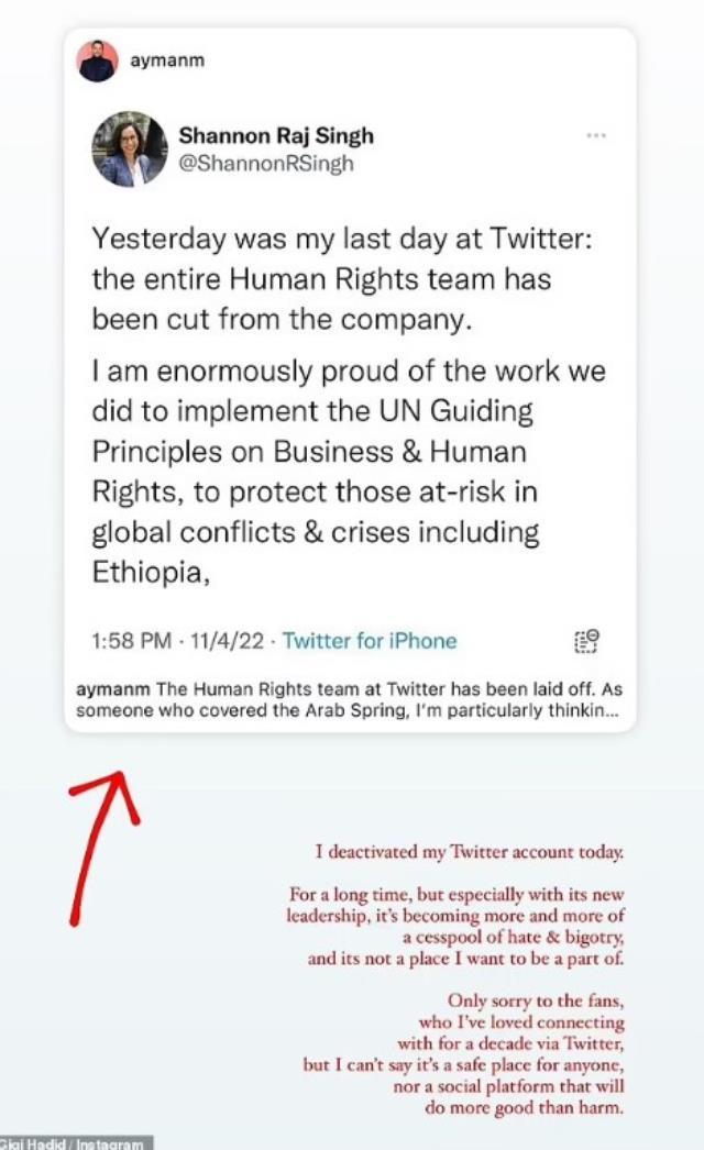 Dünyaca ünlü model Gigi Hadid 'Nefret çöplüğüne döndü' diyerek Twitter hesabını sildi Dünyaca ünlü model Gigi Hadid 'Nefret çöplüğüne döndü' diyerek Twitter hesabını sildi