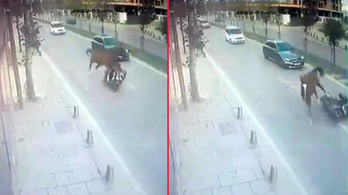 İstanbul'da motosikletli sürücü aniden yola fırlayan atla çarpıştı