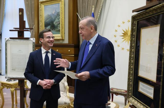 Terör örgütü PKK yanlısı İsveçli eski vekil: Cumhurbaşkanı Erdoğan'ın karşısına resmen diz çöktük