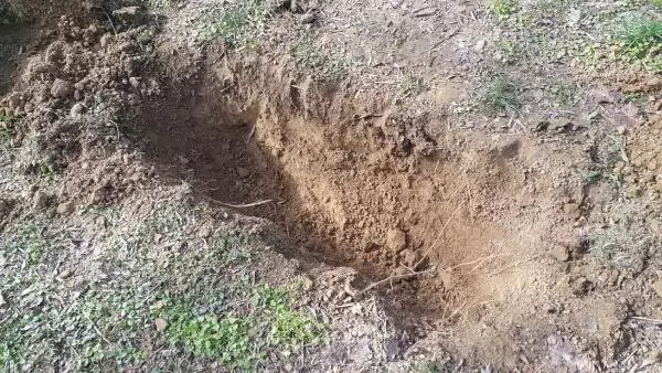 Üçlü ilişki sırasında sevgilisine sert davranan adamı öldürmüştü, savunması pes dedirtti