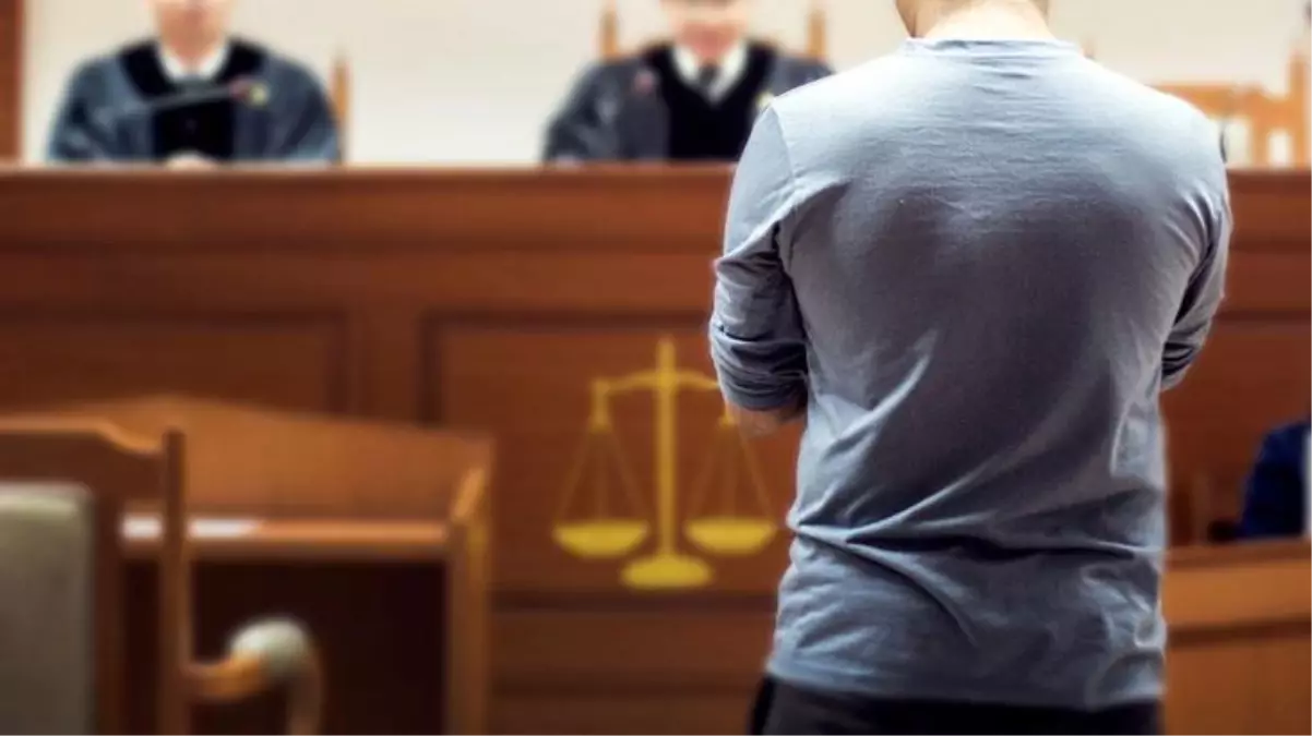 Malatya'da kediyi öldüren sanık kendini böyle savundu: Görüntülerdeki benim ama ben değilim