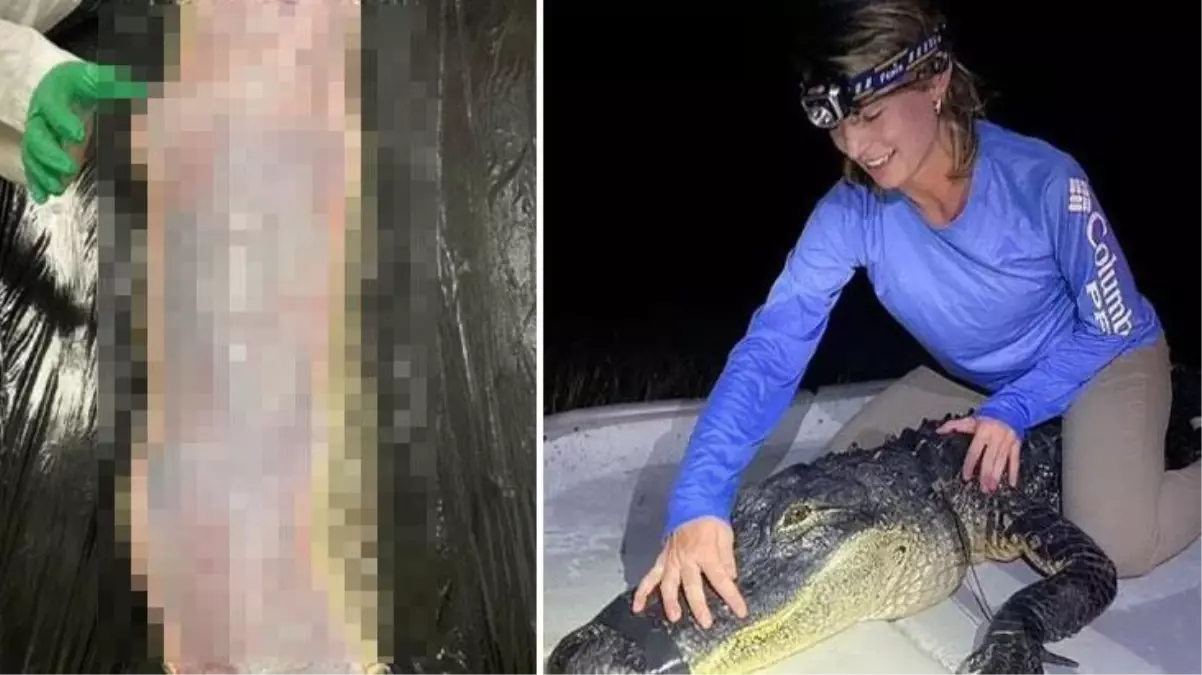 Yılanın karnını açan kadın bilim insanı konuştu! Bir konuda sitemi var