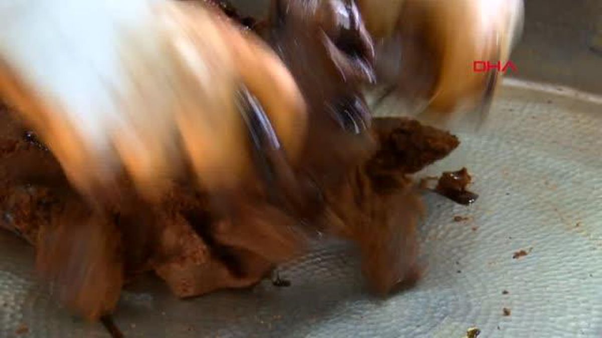 Etlisinde de var etsizinde de! Milyonların vazgeçilmezi çiğ köftede salmonella ve bağırsak kökenli bakteri bulundu