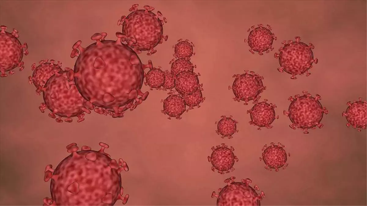Yeni RSV virüsü nedir? RSV virüsü nedir? RSV ölümcül mü? RSV salgın mı var?