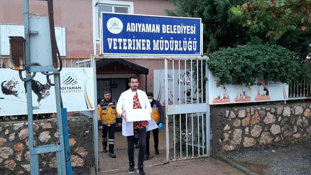Kuduz vakası yüzünden alarma geçen Adıyaman'da aşılama çalışmaları başladı