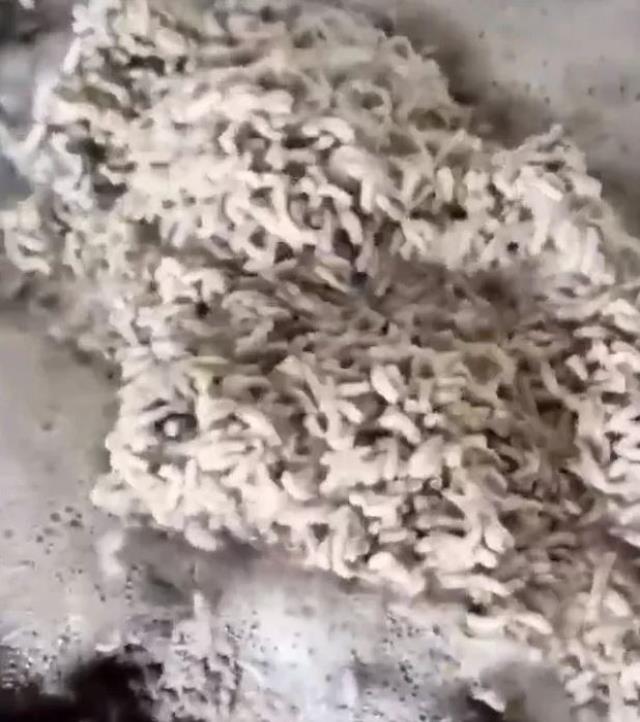Bunları insanlara yedireceklermiş! Mide bulandıran işkembeciye ekiplerden baskın