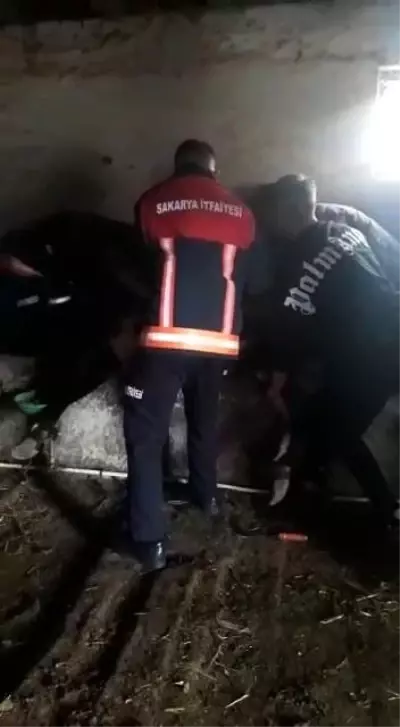 Ahırdan gelen acı seslere koşan çiftçi, gördüğü manzara sonrası hemen yetkilileri aradı