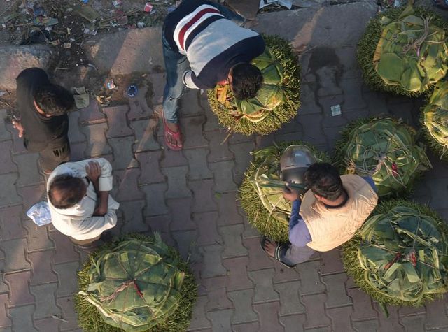 Hindistan'da Betel Yaprağı Pazarı
