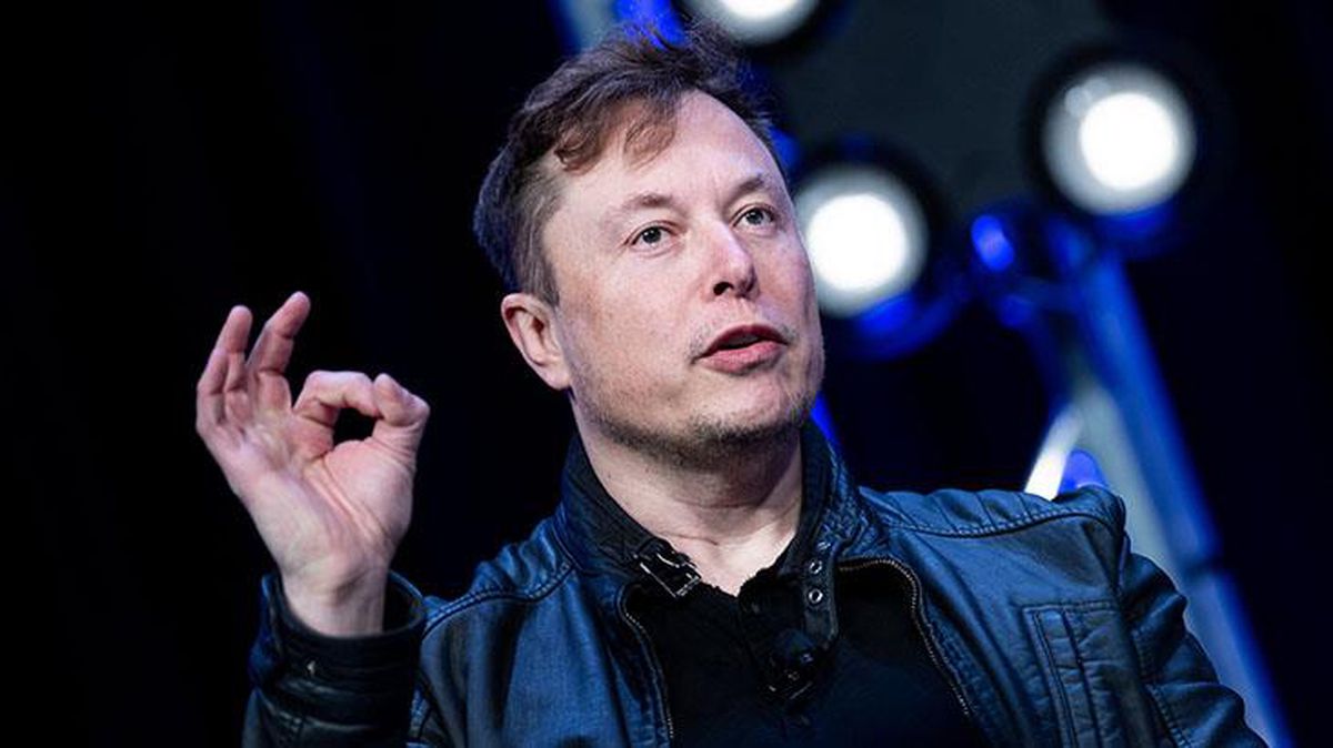 İşte Elon Musk'ın yeni planı! Şirketler için altın, hükümetler için gri renkte tik olacak