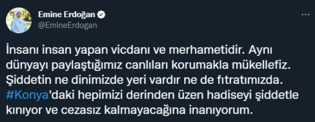 Konya'daki köpek katliamına Emine Erdoğan'dan tepki: Cezasız kalmayacağına inanıyorum Konya'daki köpek katliamına Emine Erdoğan'dan tepki: Cezasız kalmayacağına inanıyorum