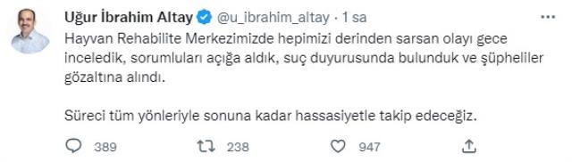 Köpek katliamıyla ilgili Konya Büyükşehir Belediye Başkanı'ndan iki cümlelik açıklama