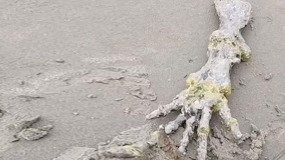 Sahilde yürüyen çift, kumdan fırlayan esrarengiz parmakları bulunca dehşete düştü