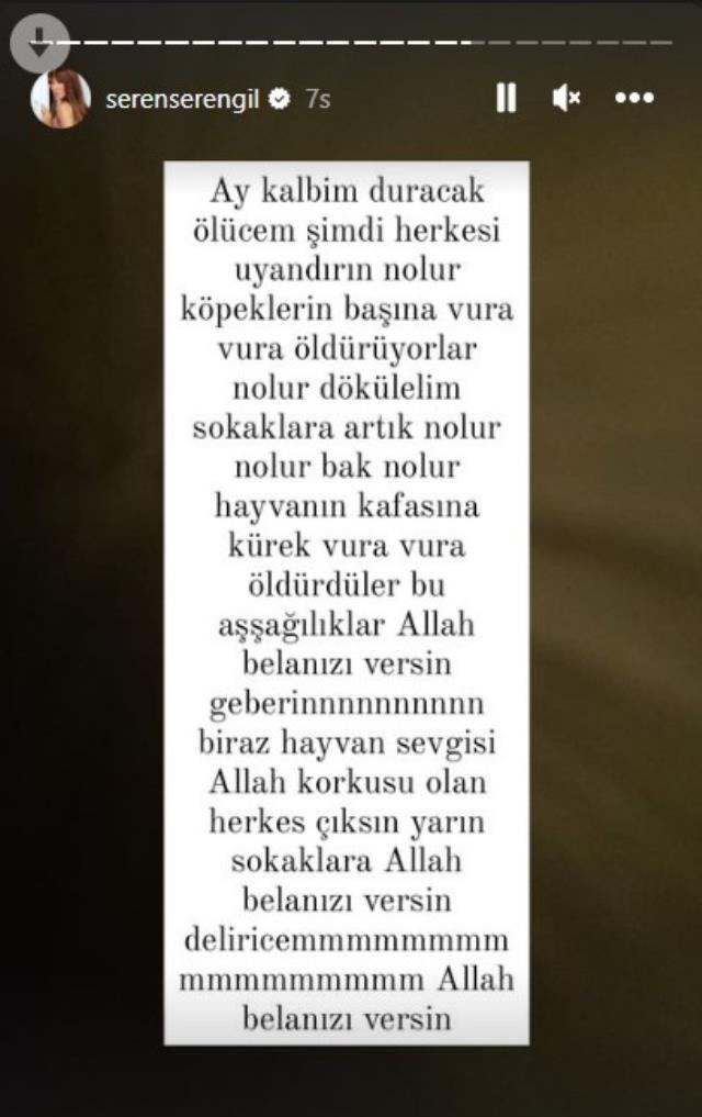 Ünlü isimler, kürekle köpeklere yapılan işkenceye öfke kustu! Seren Serengil, Cumhurbaşkanı Erdoğan'dan yardım istedi Ünlü isimler, kürekle köpeklere yapılan işkenceye öfke kustu! Seren Serengil, Cumhurbaşkanı Erdoğan'dan yardım istedi