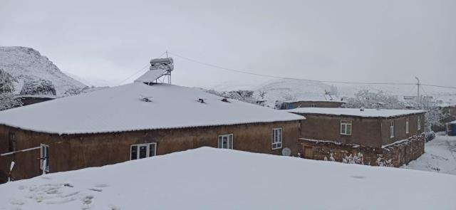 Bitlis'te kar yağışı... Çok sayıda araç yolda kaldı