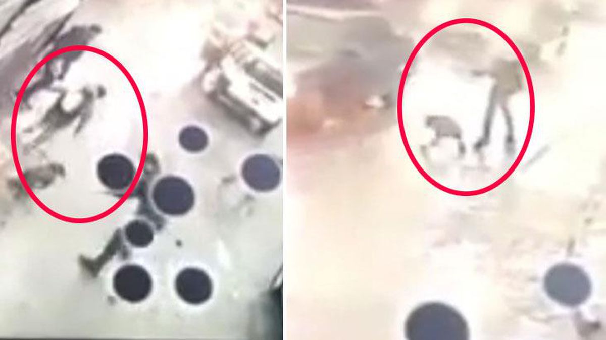 İstanbul'da ağızlıksız gezdirilen pitbull, okula giden 10 yaşındaki çocuğa saldırdı! O anlar kamerada