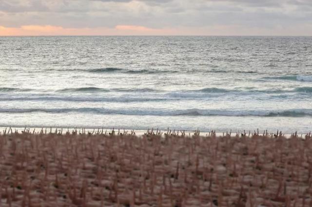 Binlerce kişi çırılçıplak sahile koştu! Hepsinin tek bir amacı var Binlerce kişi çırılçıplak sahile koştu! Hepsinin tek bir amacı var