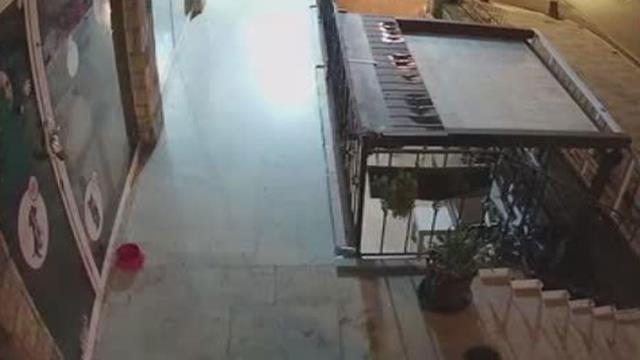 Sokak köpeğini yere yatırarak boğmaya çalışmıştı! Vahşetin yeni görüntüleri ortaya çıktı