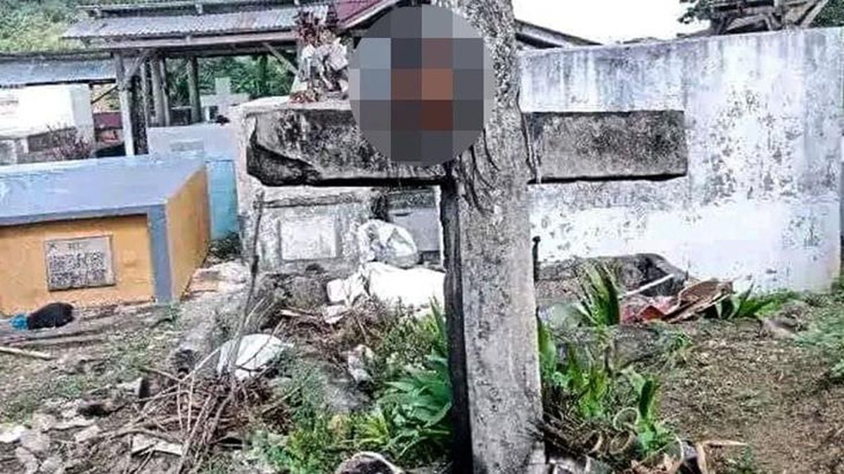 Bufalo satışından komisyon alamayan bakıcı, hayvanın sahibinin kafasını kesip mezarlıkta sergiledi