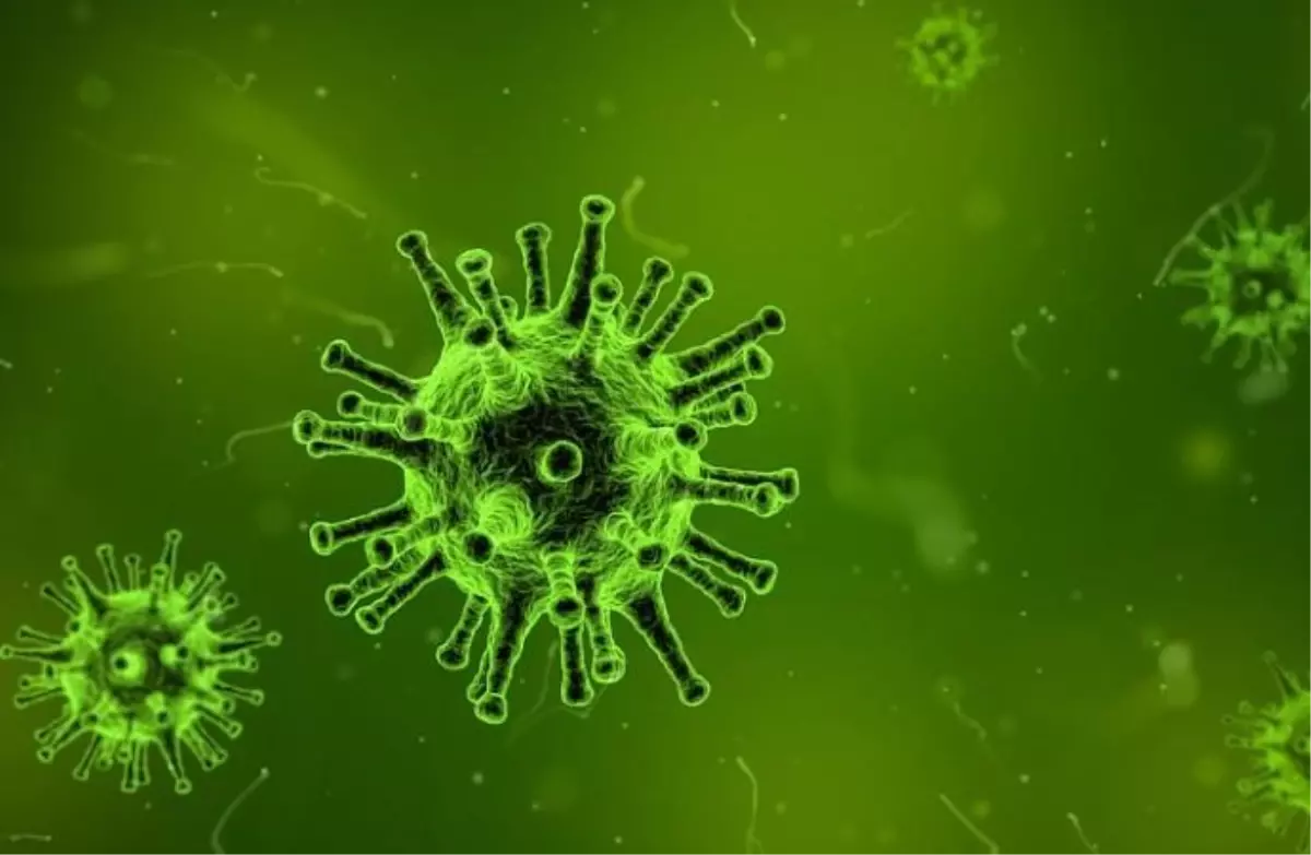 Zombi virüsü gerçek mi? Zombi virüsü gerçekten var mı?