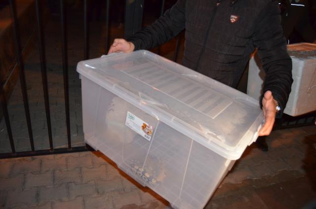 Aksaray'da baskın yapılan evde kraliyet pitonuyla 10 sakallı ejder ele geçirildi Aksaray'da baskın yapılan evde kraliyet pitonuyla 10 sakallı ejder ele geçirildi