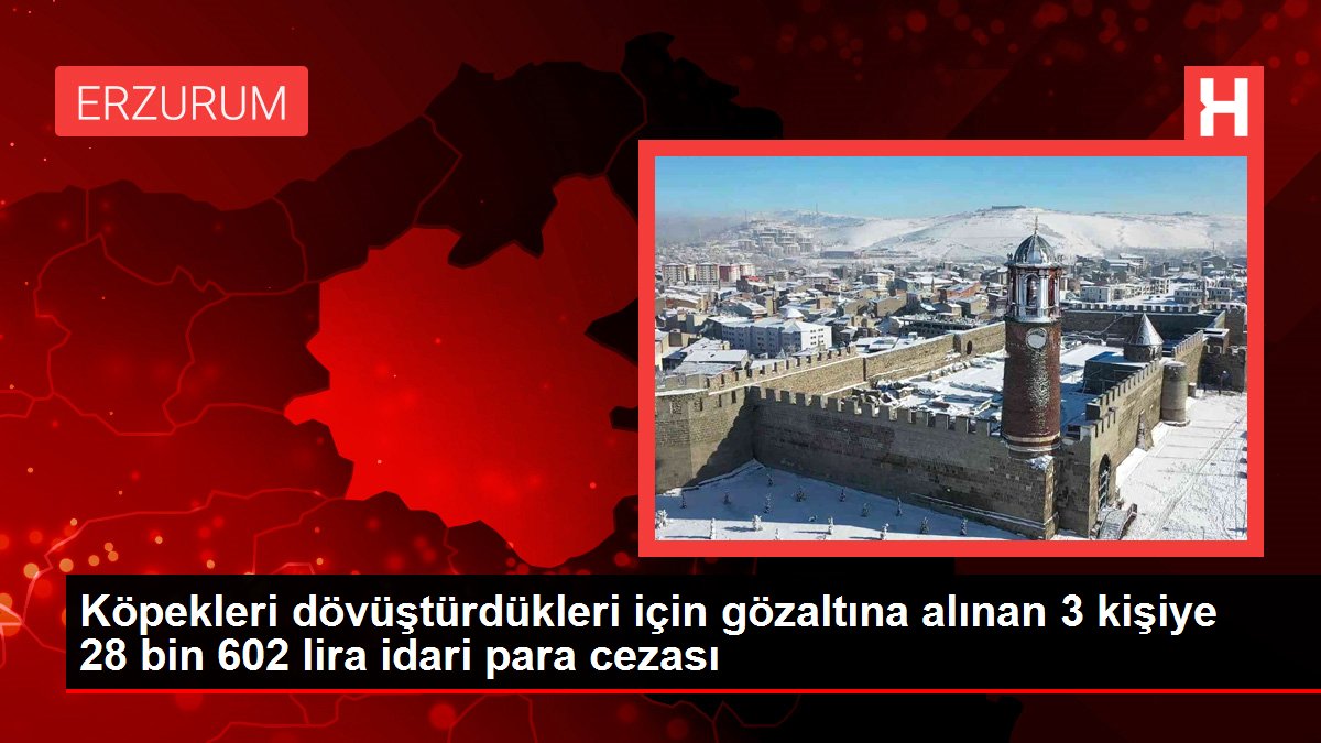 Köpekleri dövüştürdükleri için gözaltına alınan 3 kişiye 28 bin 602 lira idari para cezası