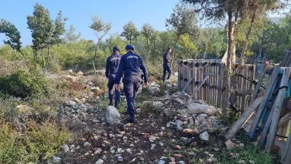 ORMANDA BULUNAN KEMİK PARÇASI, 5 AYDIR KAYIP ÜNİVERSİTELİ VEDAT'A AİTMİŞ ORMANDA BULUNAN KEMİK PARÇASI, 5 AYDIR KAYIP ÜNİVERSİTELİ VEDAT'A AİTMİŞ