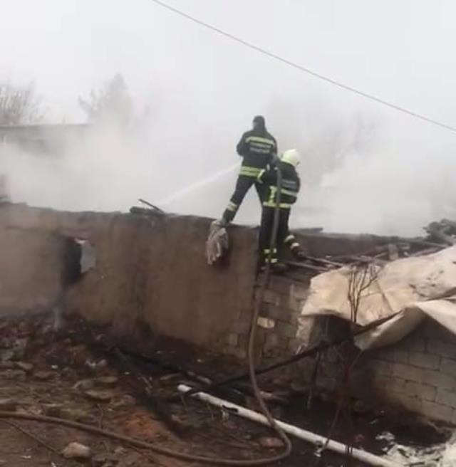 Ahır alev alev yandı, 2 inek ile 20 tavuk telef oldu Ahır alev alev yandı, 2 inek ile 20 tavuk telef oldu