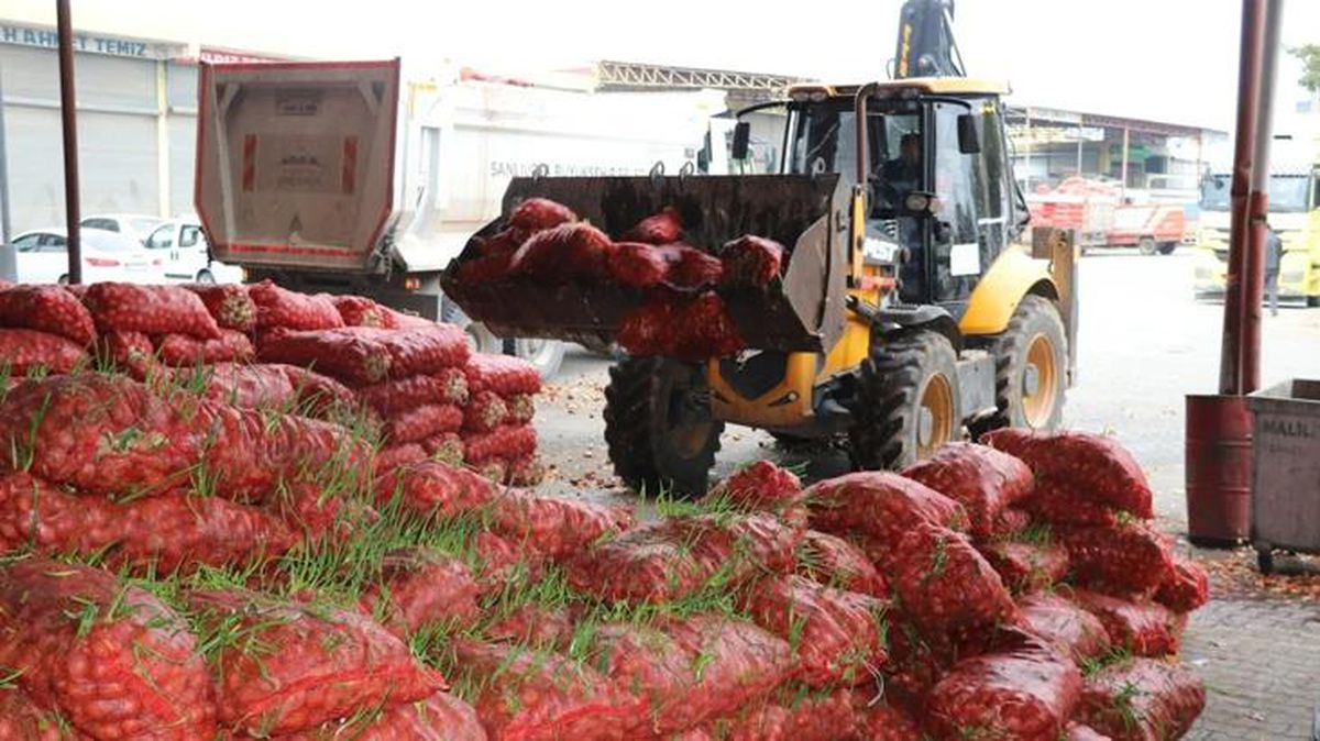 Vicdanları yaralayan görüntü! Denetimlerde ele geçirilen 22 ton çürümüş soğan imha edildi