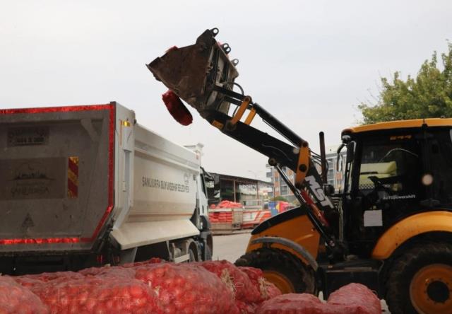 Şanlıurfa'da denetimlerde ele geçirilen 22 ton çürümüş soğan imha edildi