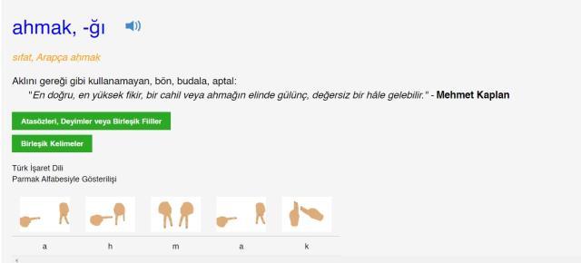 Ahmak ne demek? Kime ahmak denir? TDK'ya göre ahmak nedir?