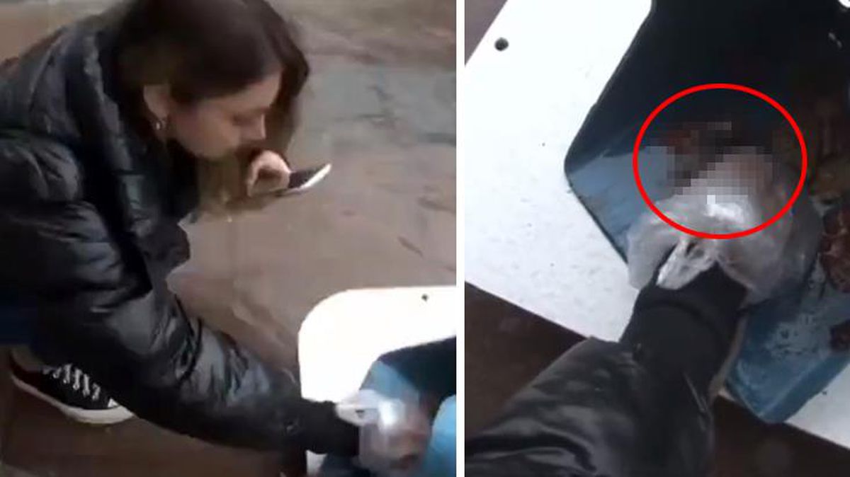 İzmir'de genç bir kız, yağıştan etkilenerek telef olan lağım faresine kalp masajı yaptı